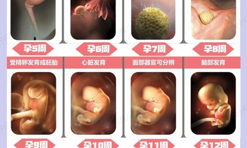 肠胃不好能吃花生吗-肠胃不好 能吃红薯吗网- 肠胃不好能喝茶吗知识,分享肠胃不好可以吃什么水果