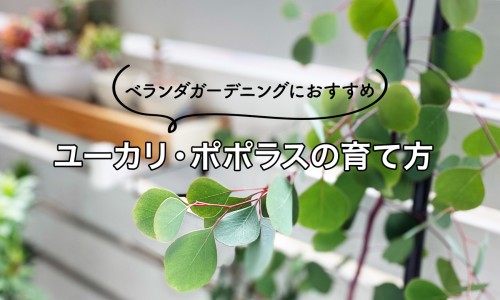 肠胃不好能吃皮蛋吗-肠胃不好 能吃红薯吗网- 肠胃不好能喝茶吗知识,分享肠胃不好可以吃什么水果